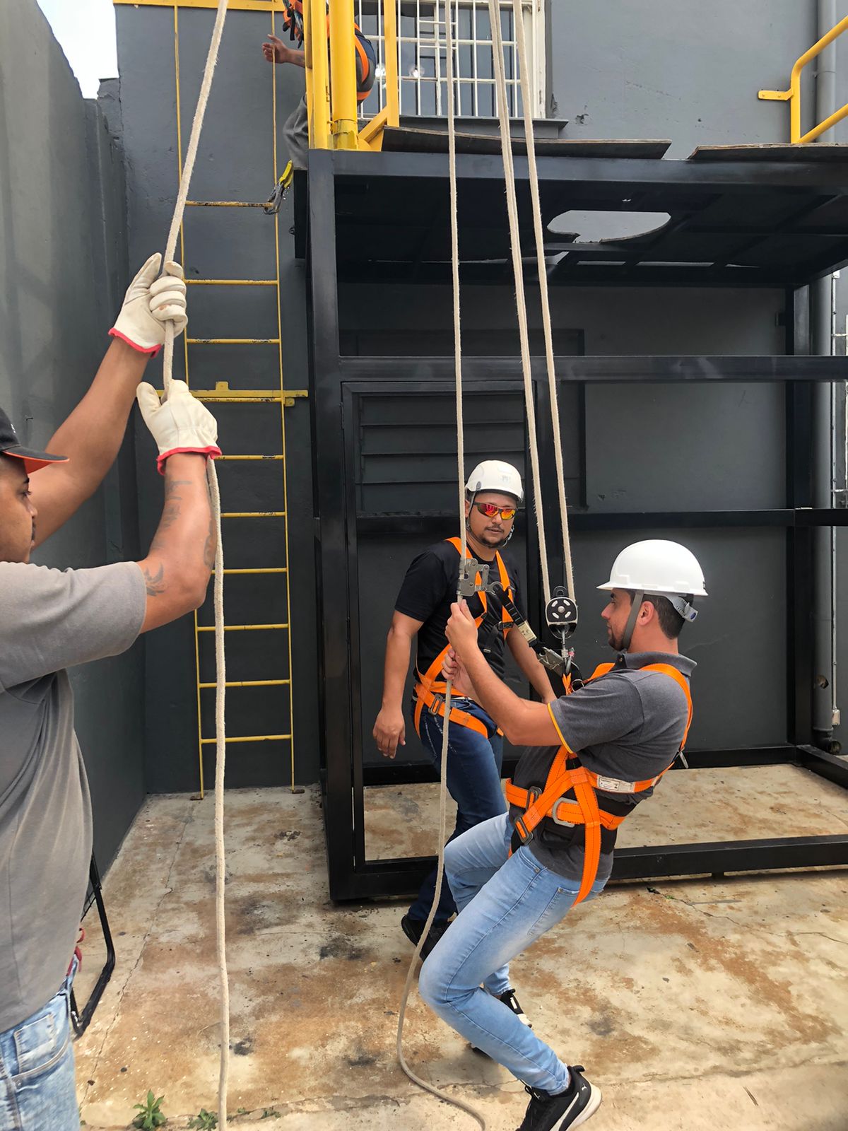 Imagem do WhatsApp de 2024-08-14 à(s) 22.10.35_ccf509f1.jpg