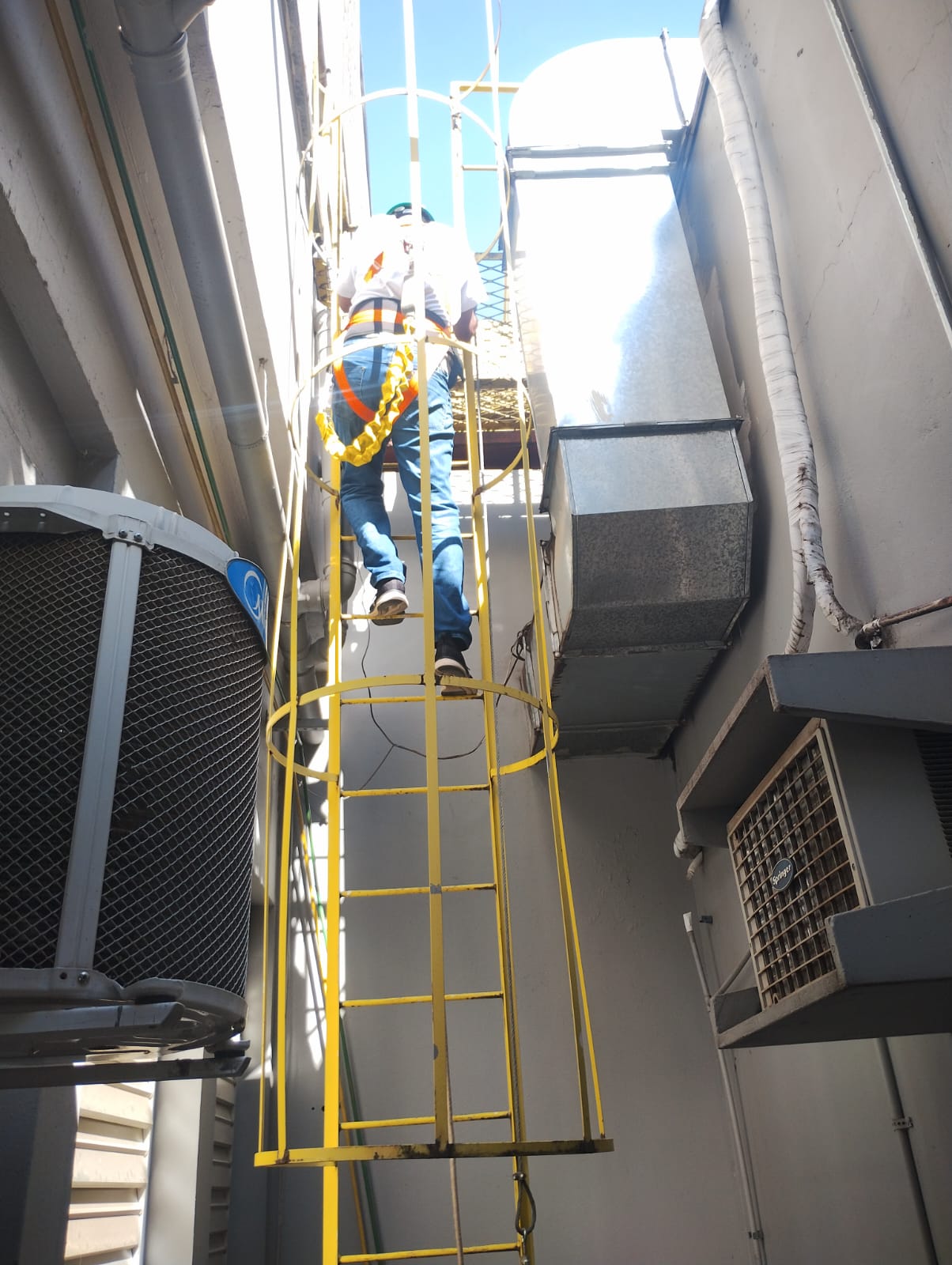 Imagem do WhatsApp de 2024-08-14 à(s) 22.10.37_e89a9058.jpg